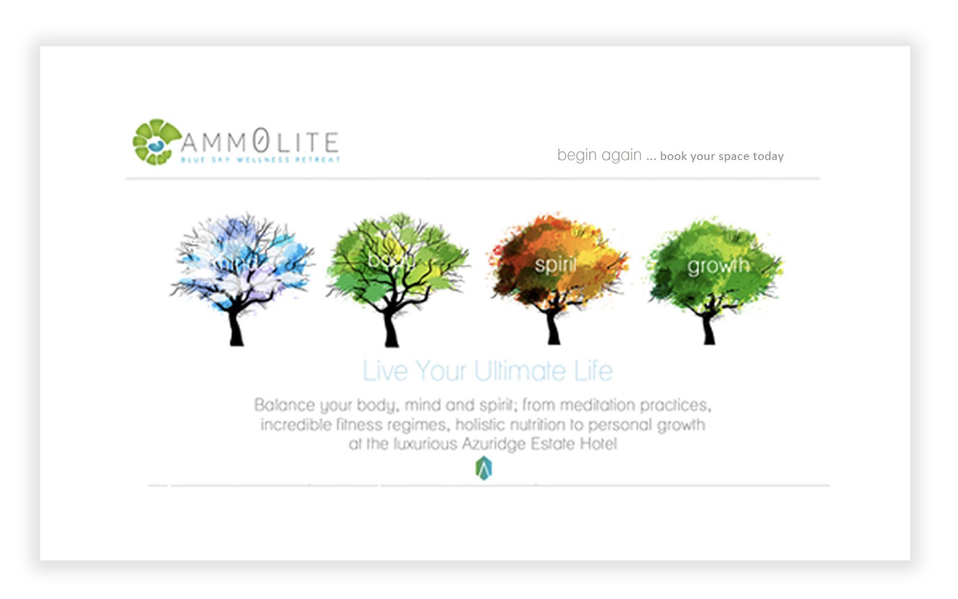 Oliver-Spence-Creative-Client-Ammolite-Graphic-Design-3