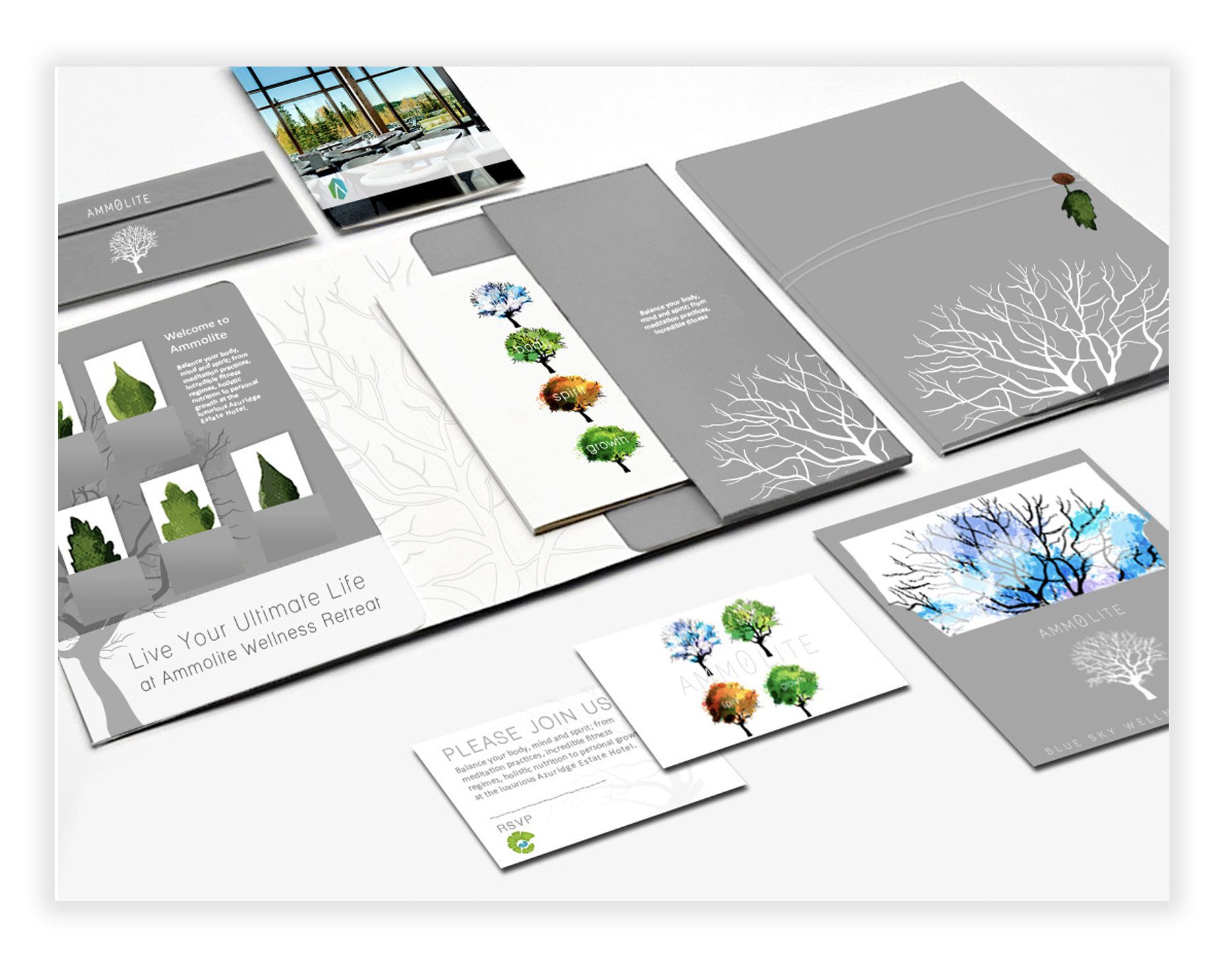 Oliver-Spence-Creative-Client-Ammolite-Graphic-Design2